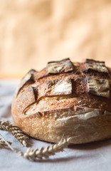 Fresh sourdough artisan bread and wheat on kitchen towel