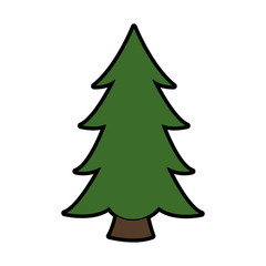 pine tree plant national forest nature switzerland vector illustration