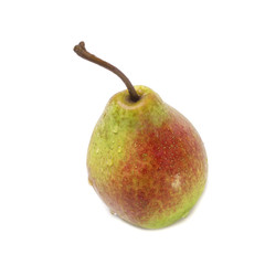 One juicy ripe sweet pear