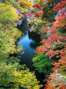 Shosenkyo Gorge im Herbst, Kofu, Yamanashi Präfektur, Japan
