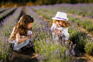 Boy and girl in the lavender field at sunset. Brother and sister holding hands. Family, love, and...