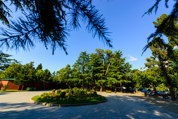 Garden landscape