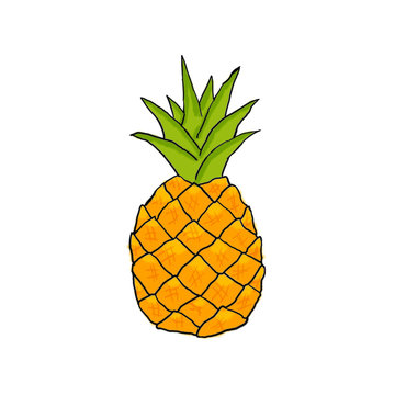 pineapple draw