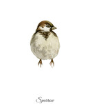 Handpainted watercolor poster with sparrow