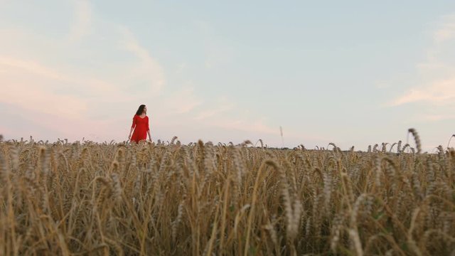 Young woman in red dress walking in the golden field during colorful sunset and feeling happiness.