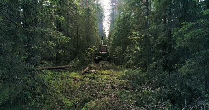 A machine is riding through the forest picking up felled trees