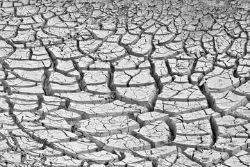 Flood Sediment