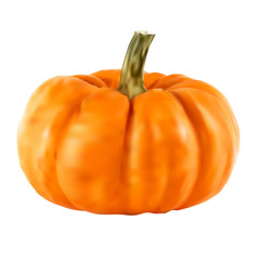 Realistic vector pumpkin isolated on transparency grid background