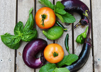 Freshly harvested vegetables of Brinjal or Eggplant, tomatoes,and herbs like mint, basil, rosemary