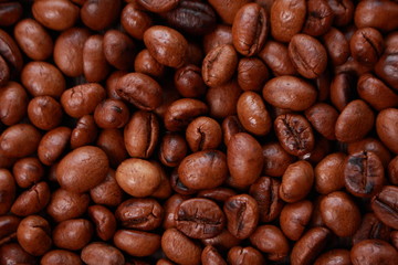 Fresh Roasted Coffee Beans Background