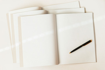 Close-up of pen on a background of large open blank and empty notebooks in a cage, top view, texture. Place for text, concept of starting school and any new cases