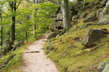 Obraz premium Jizera mountains, Czech Republic