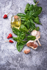 Obraz na płótnie Canvas Fresh green basil with garlic and olive oil