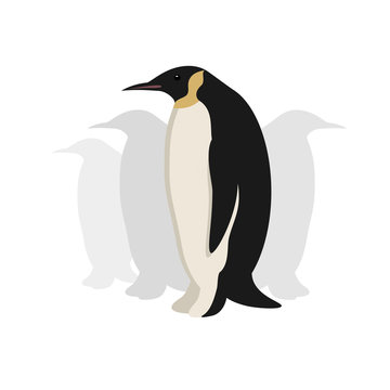 Standing penguin, flat vector image