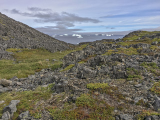 rugged Fogo Island coastline with icebergs in distance; Newfoundland