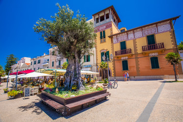 Alghero old city center with olive tree and colorful houses, Alghero, Sardinia - obrazy, fototapety, plakaty