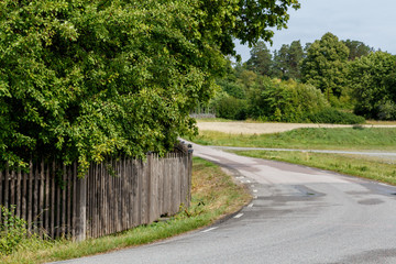 empty road in the countryside with trees and old wooden fence in surrounding