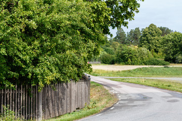 empty road in the countryside with trees and old wooden fence in surrounding