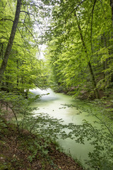 Türkiye Bolu Yedigöller
