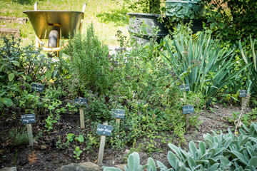 Kräutergarten