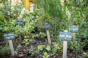 Kräutergarten
