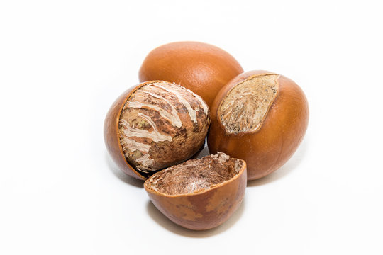Shea nuts, with detail of its interior. Vitellaria paradoxa.
