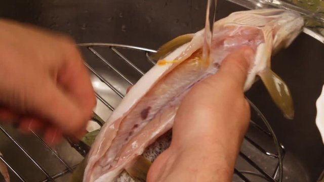 Washing and cleaning of fish.