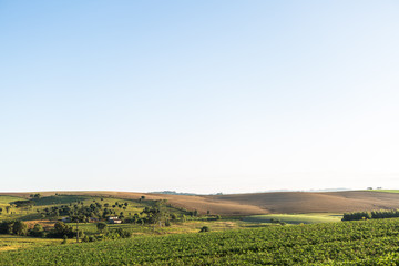 Agricultura - Sul do Brasil