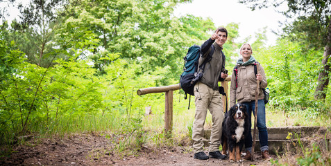 Young hiker couple with Bernese mountain dog on forest trail 