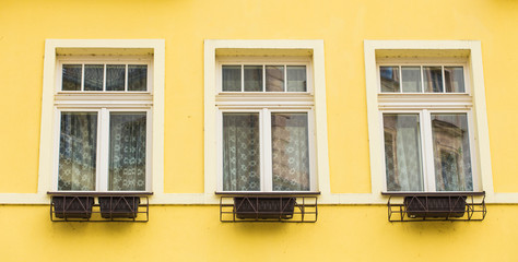 windows with flower pots