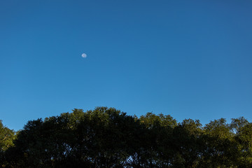 Agricultura - Sul do Brasil