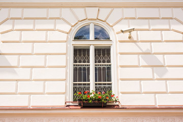window with flower pots