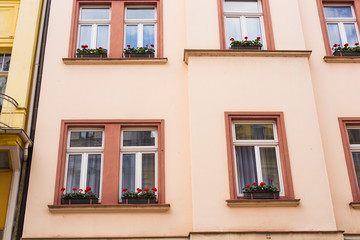 Obraz premium windows with flower pots