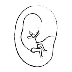 Fototapeta premium monochrome blurred silhouette of side view fetus human growth in placenta a few weeks