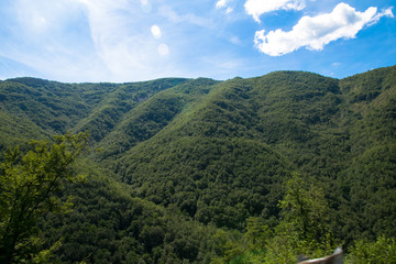 Big green mountain in Europe summer time