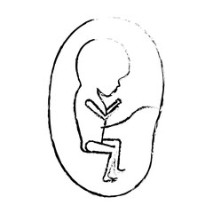 monochrome blurred silhouette of side view fetus human growth in placenta trimestrer