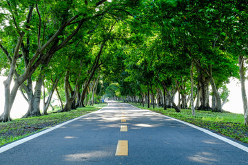 Walkways and trees in the park with shade and a sense of relaxation to people who come to rest. Including the exercise activities. such as walking, running, jogging or cycling 
