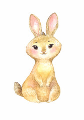 cute brown rabbit illustration