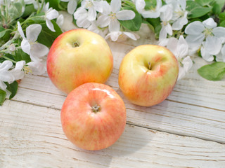 Three ripe apple and apple blossom on a white wooden background. Top view. Close up