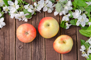 Ripe apples and apple blossom on a wooden background. Sunlight. Top view