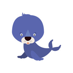 white background with colorful caricature cute seal aquatic animal