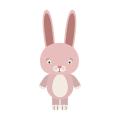 white background with colorful caricature cute rabbit animal