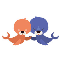 white background with colorful caricature couple cute animal seals aquatic
