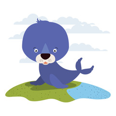 white background with color scene cute seal aquatic animal in grass