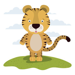 white background with color scene cute tiger animal in grass