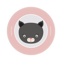 white background with color frame decorative and face cat cute animal