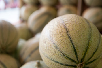 mature melons just picked up for sale by grocery store