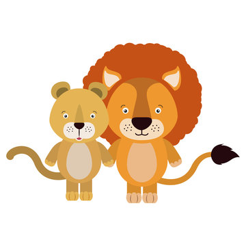 white background with colorful caricature couple cute lion and lioness animals