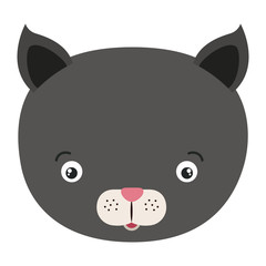 white background with colorful caricature face cat cute animal