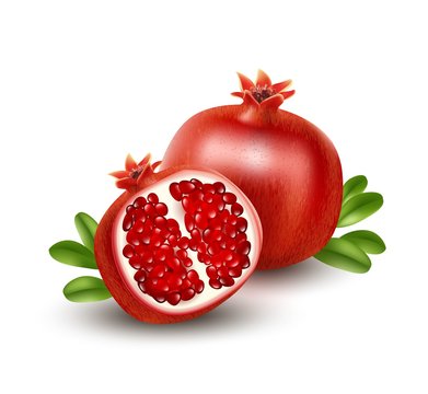 Realistic Pomegranate or garnet on the white background. Vector illustration